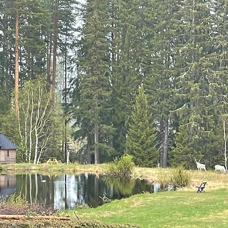 Dalsvallen Sveg Eksteriør bilde