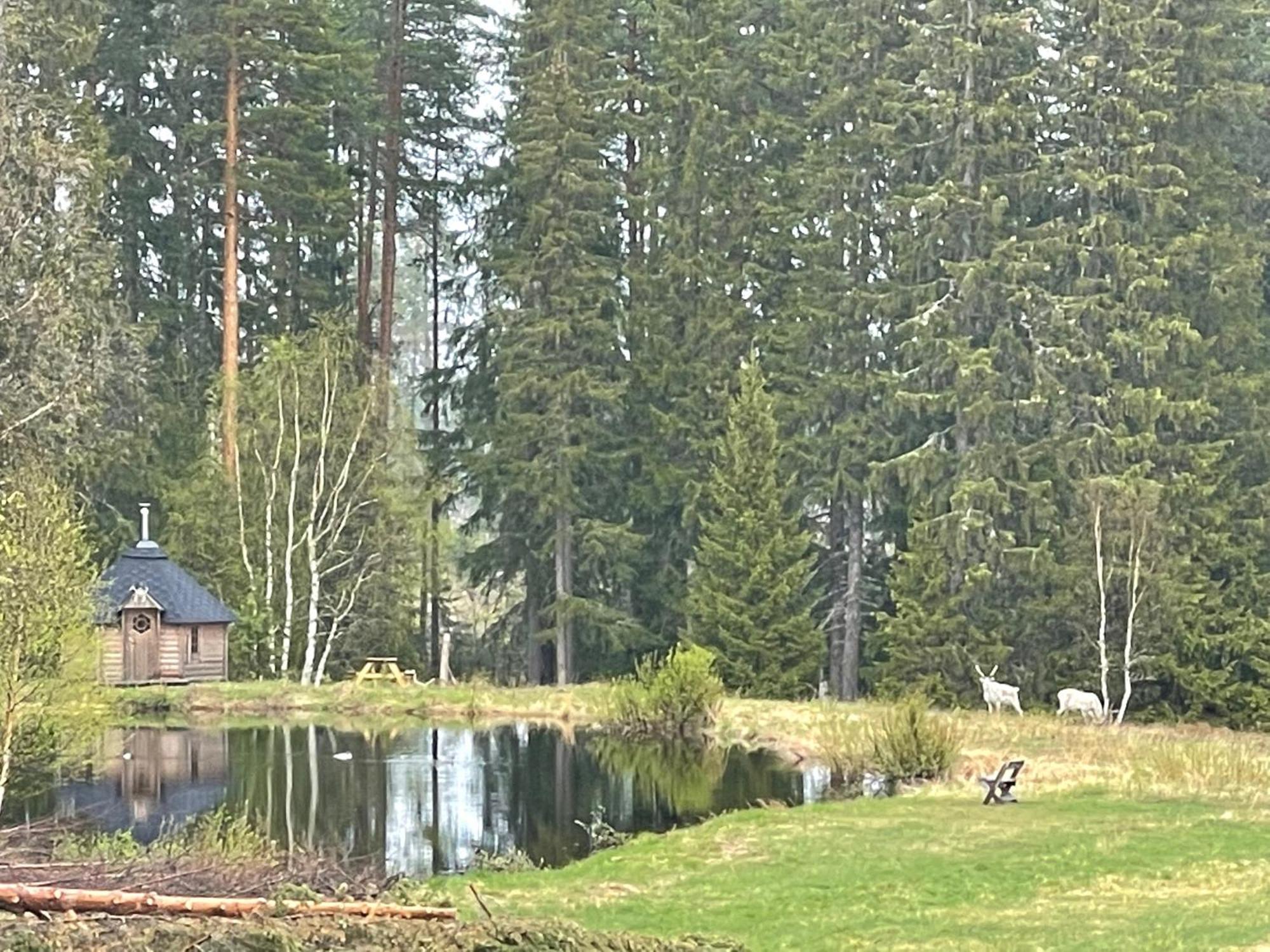Dalsvallen Sveg Eksteriør bilde